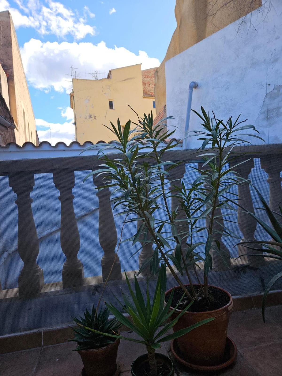 River Ebro Apartments 埃布罗河畔莫拉 外观 照片